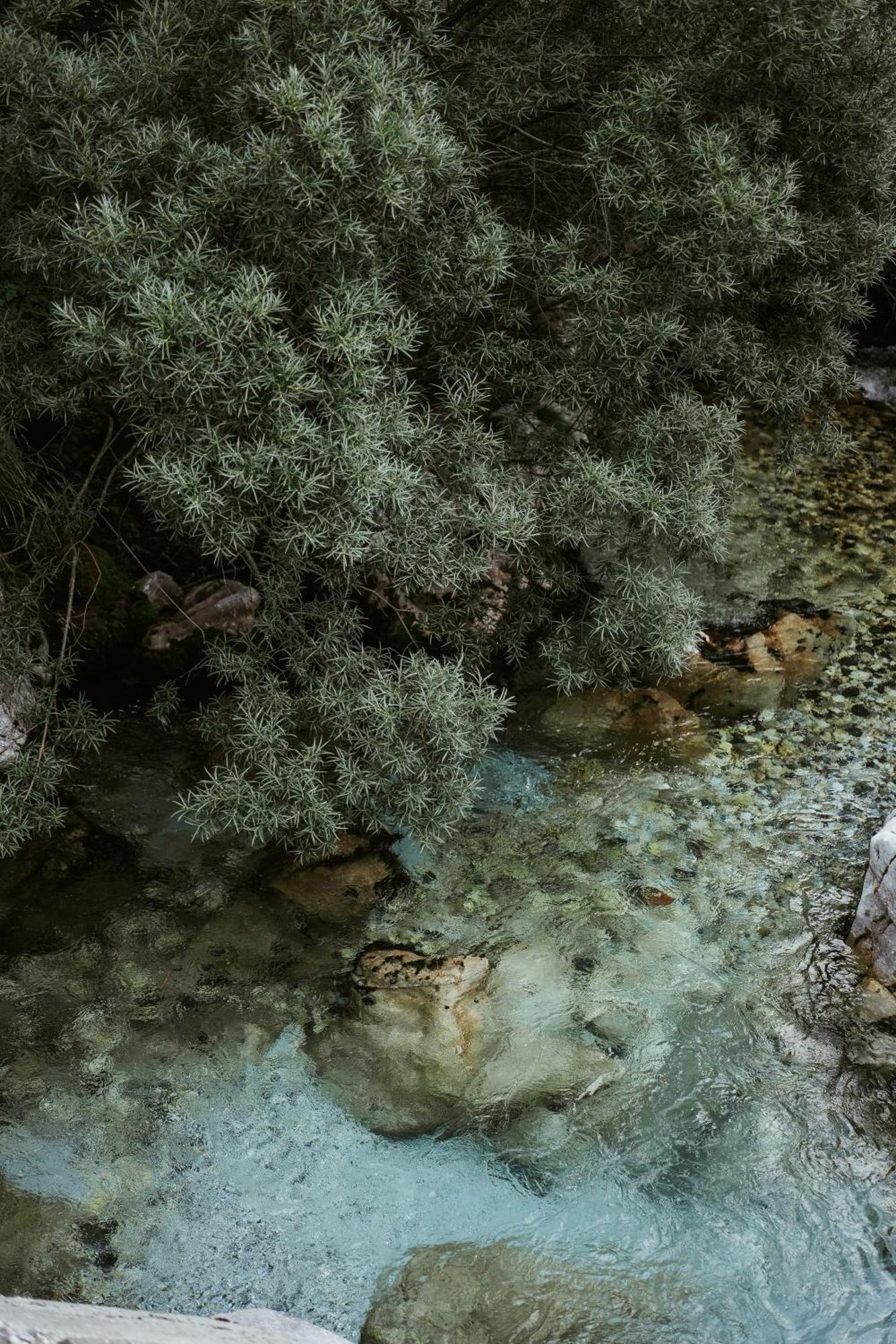 Valbona Resort & Spa Exteriér fotografie